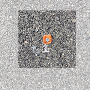 CANVAS-Ap.png